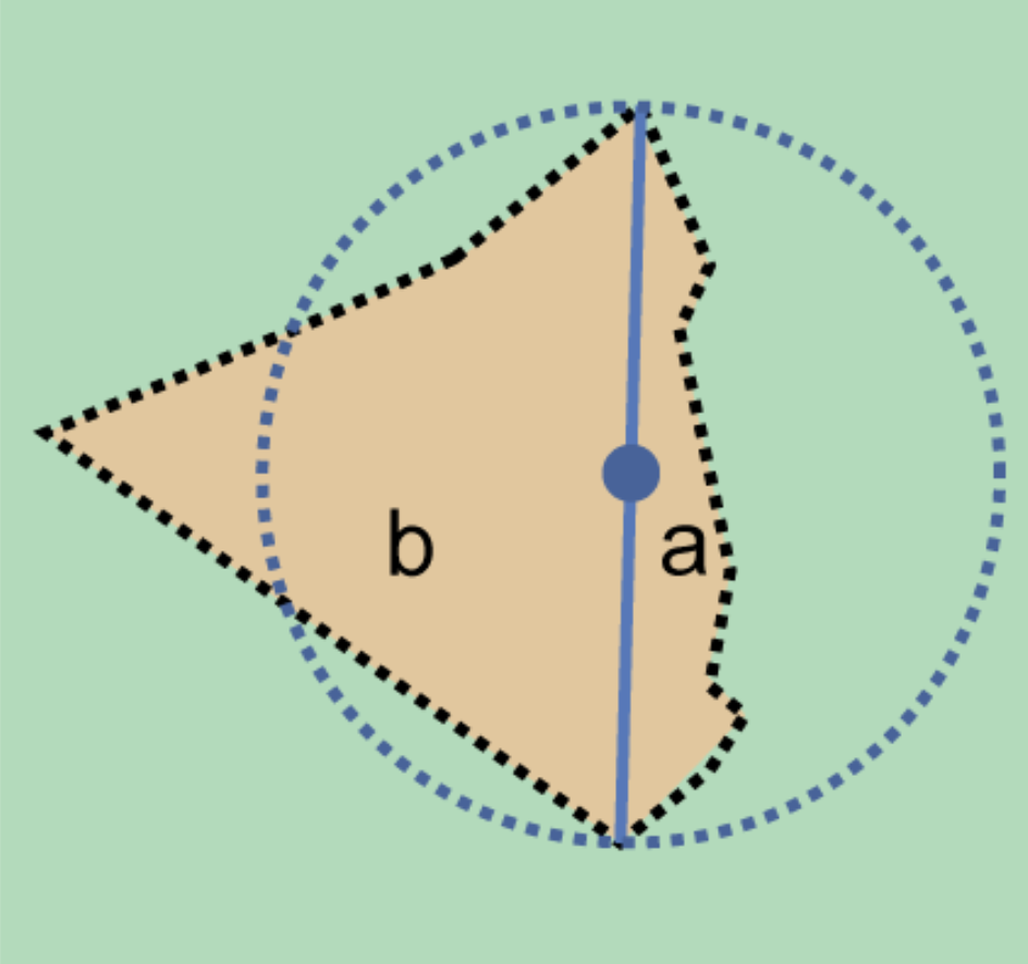 convex feature